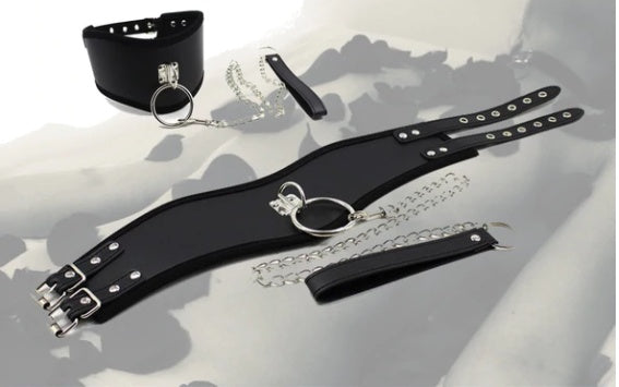 Europe & U.S Best Selling New Collars