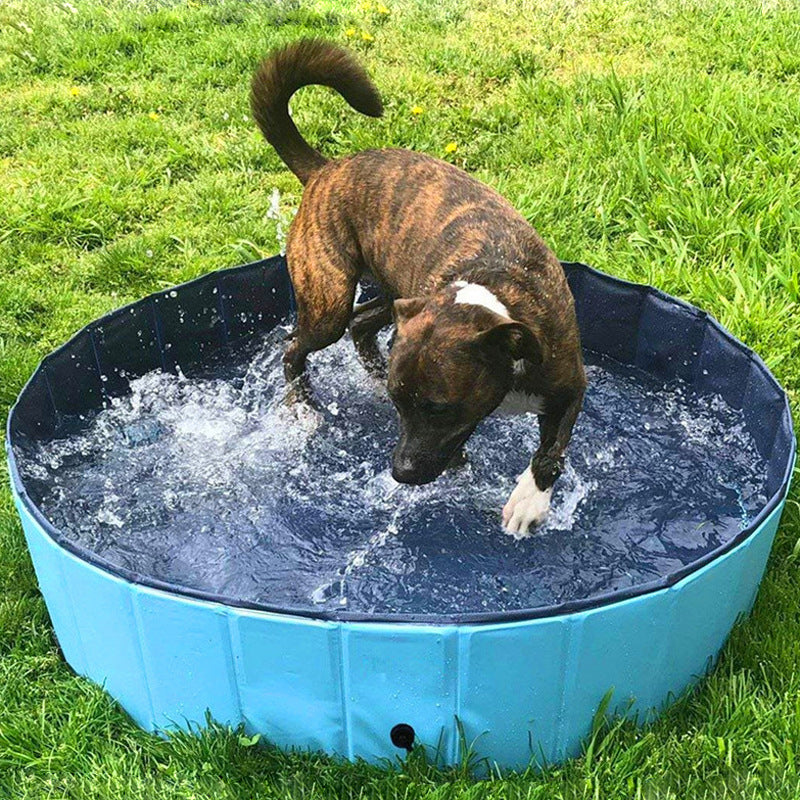 Foldable Dog Pool Pet Bath Swimming Tub Outdoor Indoor