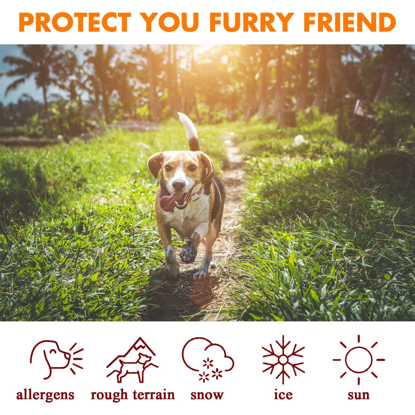 Pet Paw Care Cream Protection Oil