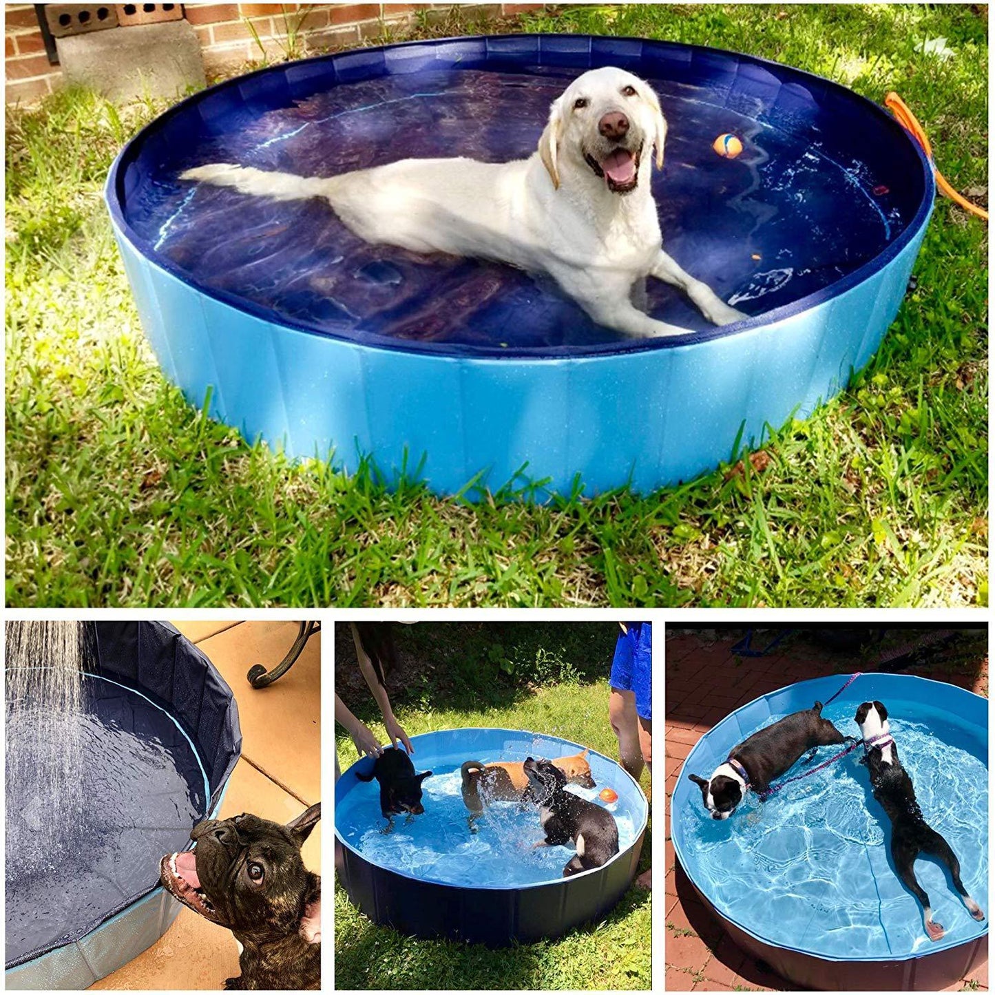 Foldable Dog Pool Pet Bath Swimming Tub Outdoor Indoor