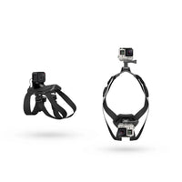 Pet Photography And Dog Sling