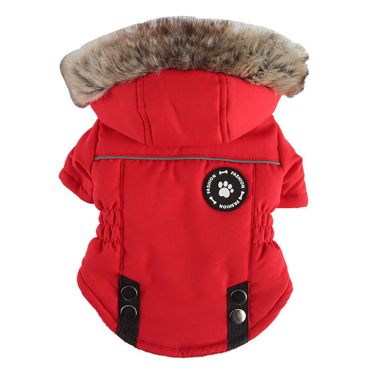 Winter Cotton Dog Zipper Jacket