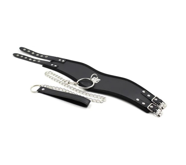 Europe & U.S Best Selling New Collars