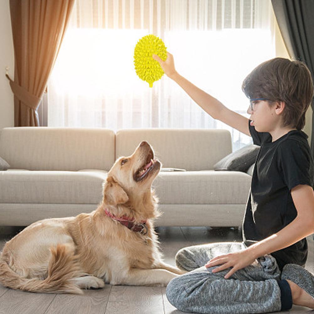 Dog Toys Durian Chew Glue Ball