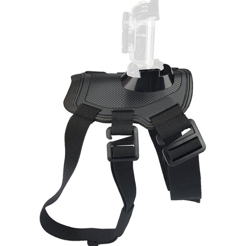 Pet Photography And Dog Sling
