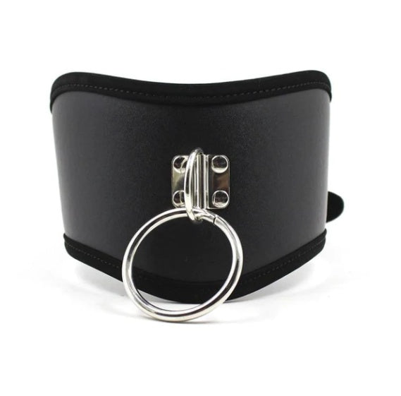 Europe & U.S Best Selling New Collars