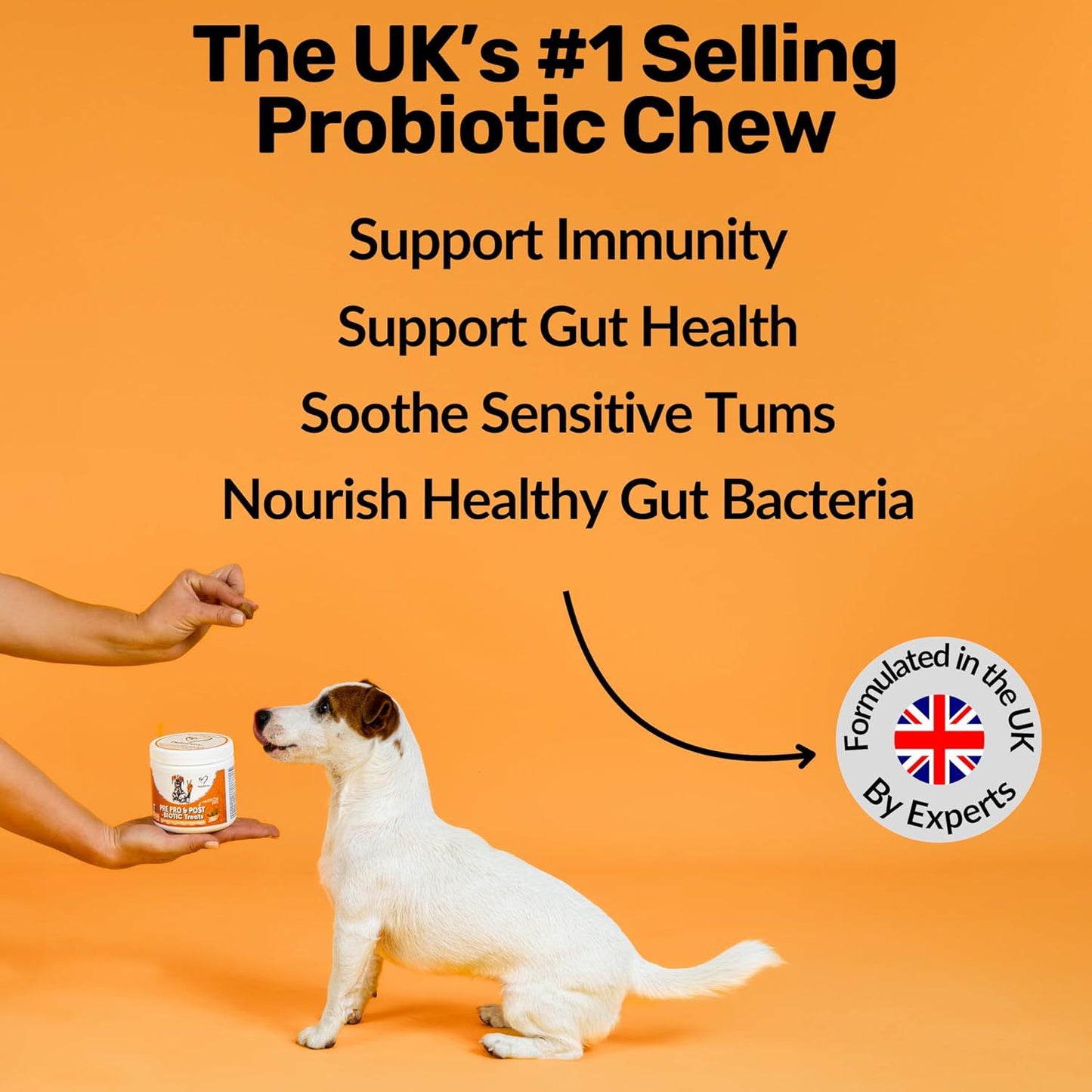 Dog Prebiotics Digestive Snacks