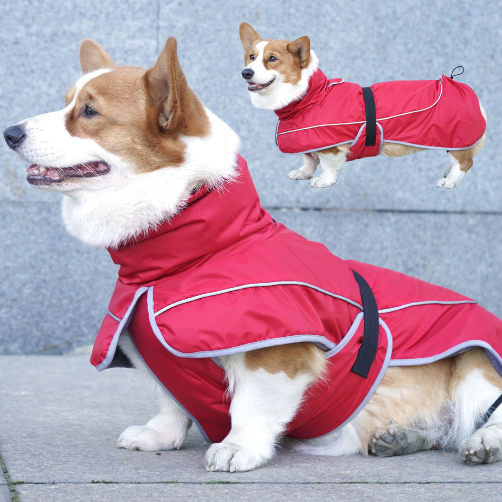 Dog Warm Shell Jacket