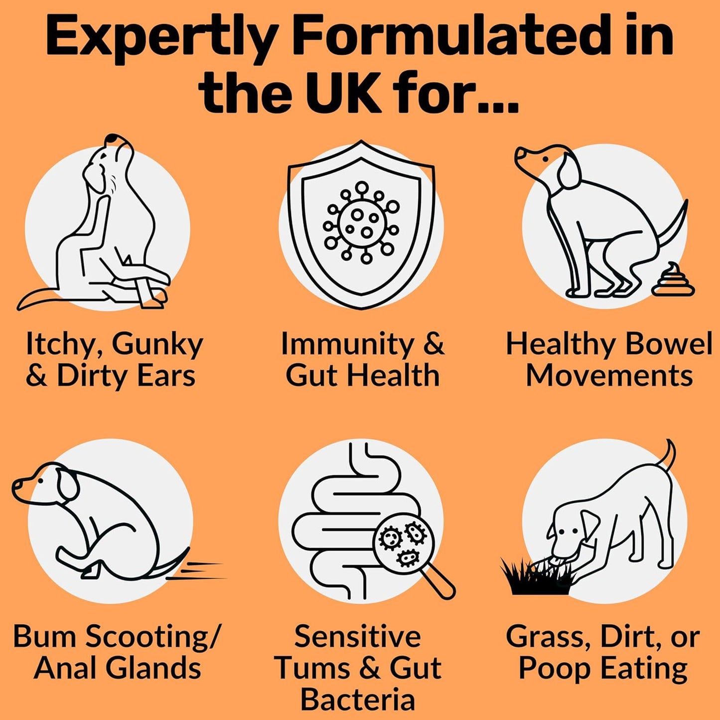 Dog Prebiotics Digestive Snacks