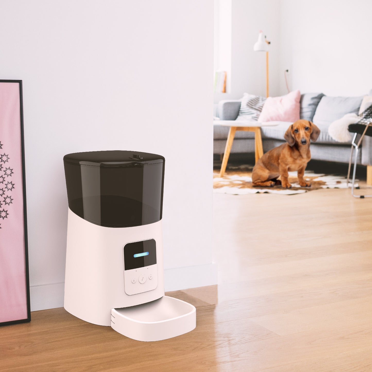 White and black automatic pet feeder placed on wooden floor with a dog sitting in the background