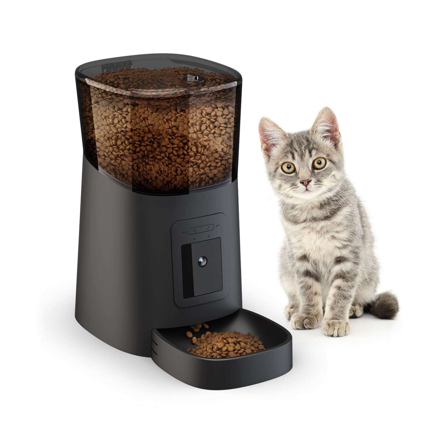 Automatic Pet Feeder With Camera dispensing dry food next to a sitting gray tabby kitten