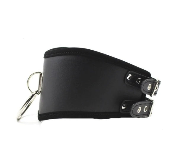 Europe & U.S Best Selling New Collars