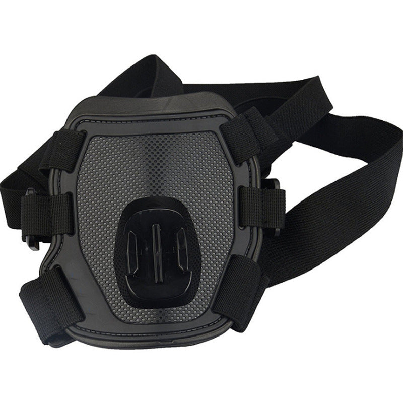 Pet Photography And Dog Sling