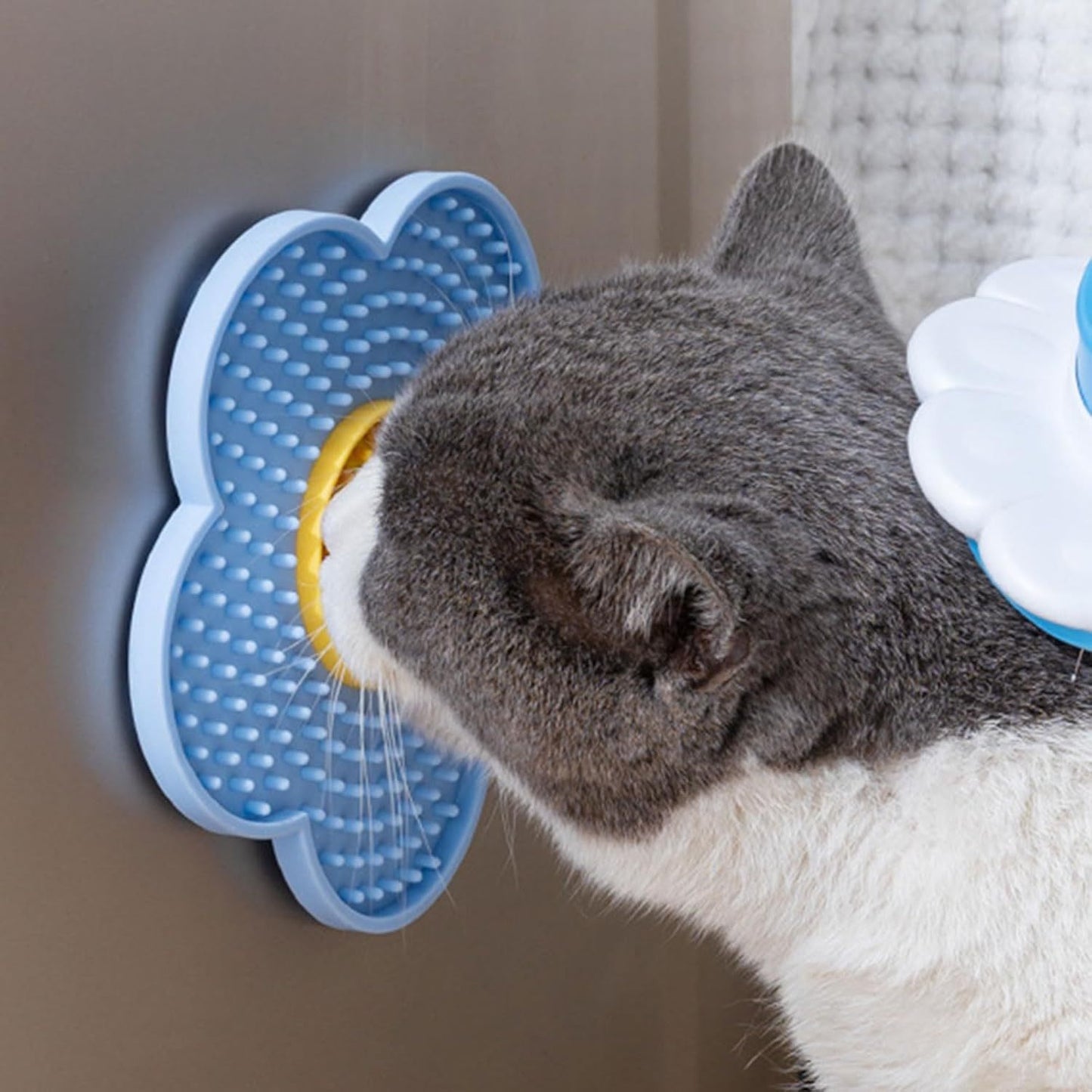 Gray and white cat using Cats Lick Pad With Suctions mounted on a wall for comfort and grooming