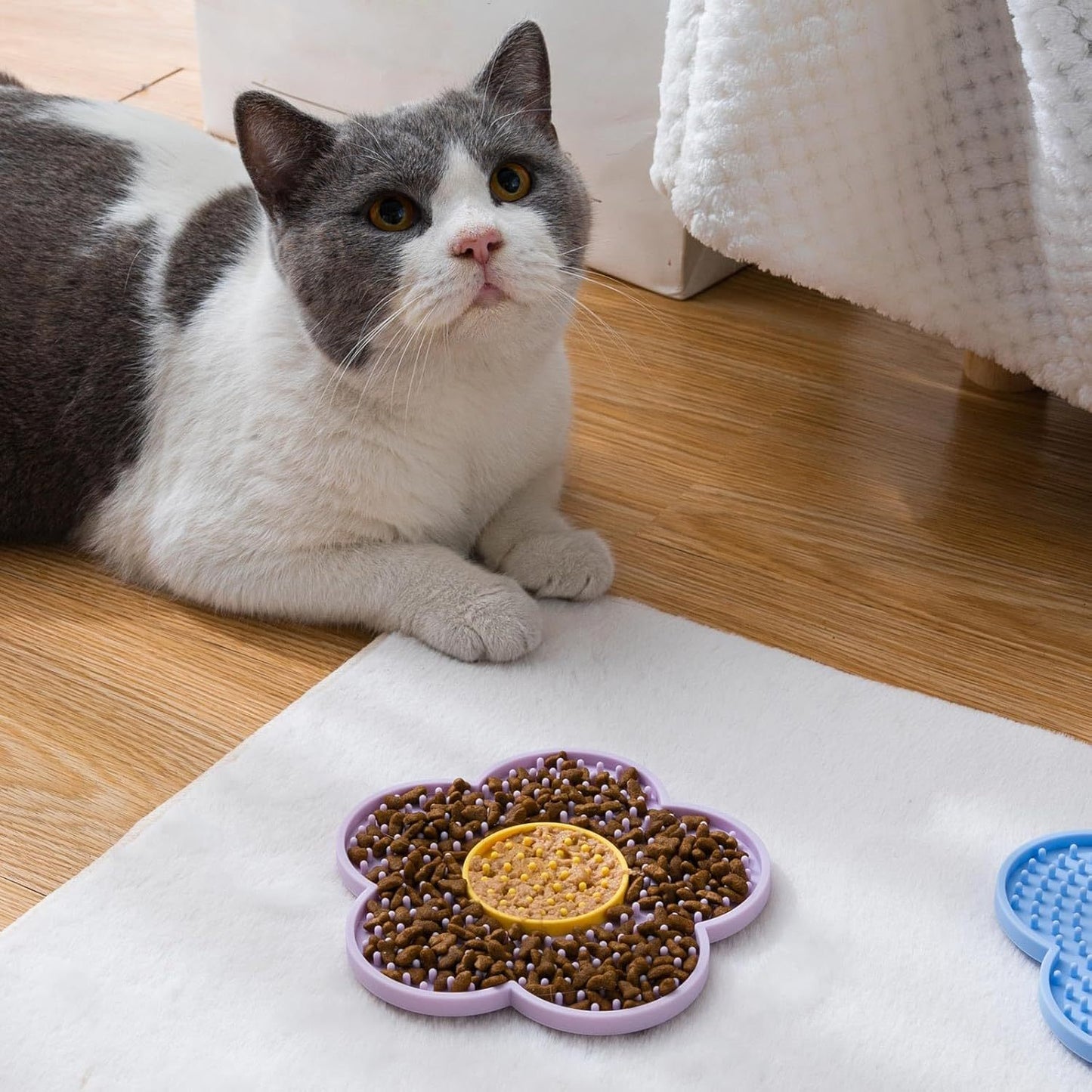Cat lying on wooden floor next to a purple flower-shaped Cats Lick Pad With Suctions filled with treats