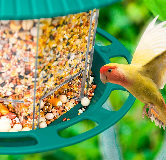 Transparent Bird Feeder filled with mixed seeds attracting a colorful bird in flight outdoors