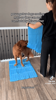Cooling Mat For Pets