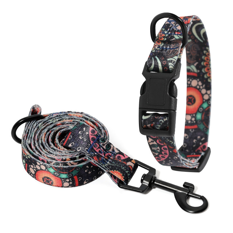 Durable Dog Leash and Collar Set with colorful abstract pattern and black metal hardware for pet comfort