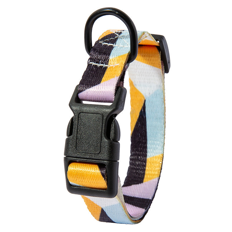 Durable Dog Leash and Collar Set featuring a colorful adjustable dog collar with black plastic buckle and metal ring