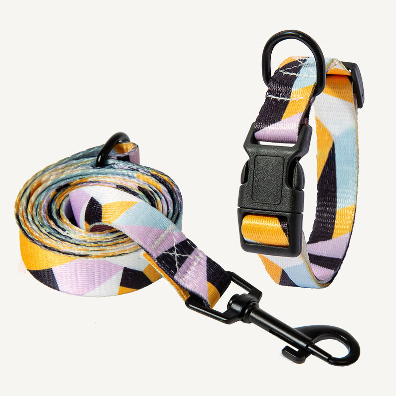 Durable Dog Leash and Collar Set with colorful geometric pattern and sturdy black hardware