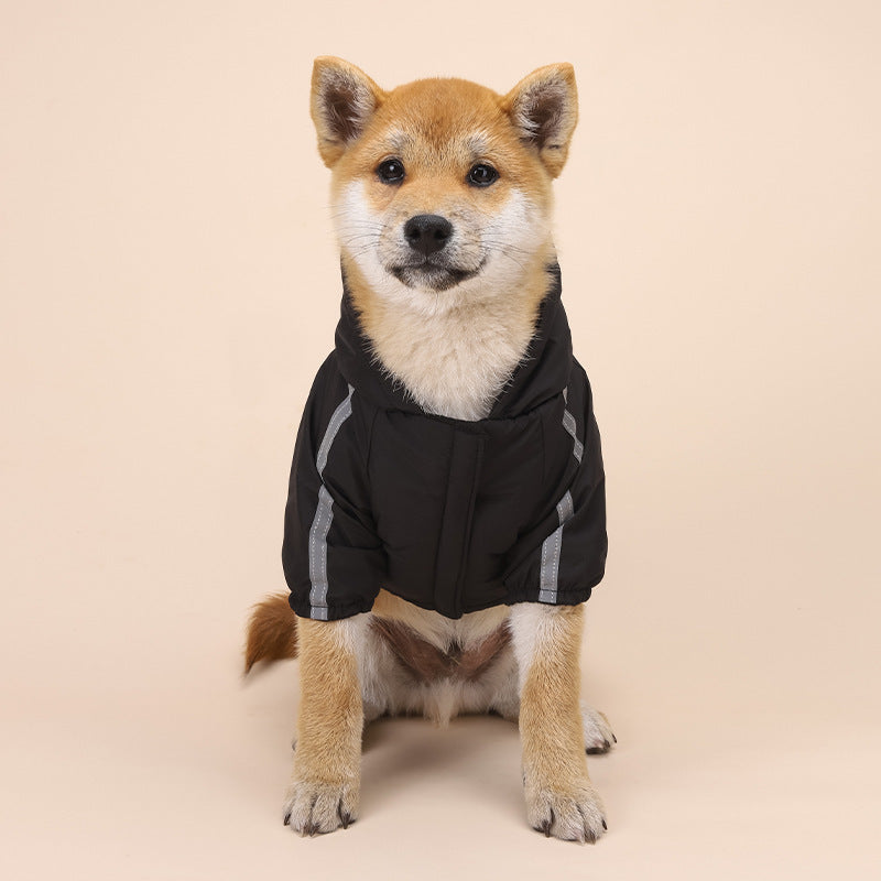 Shiba Inu wearing black Fashion Dog Clothing Shell Jacket with reflective stripes sitting on beige background