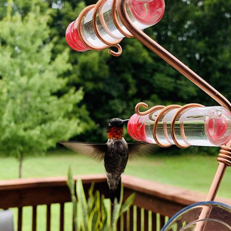 Hummingbird feeding from a red and clear plastic garden bird feeder on a wooden deck