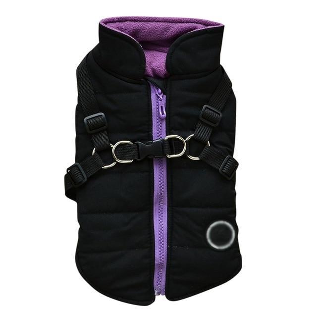 Black and purple dog zipper jacket with adjustable harness straps for pet comfort