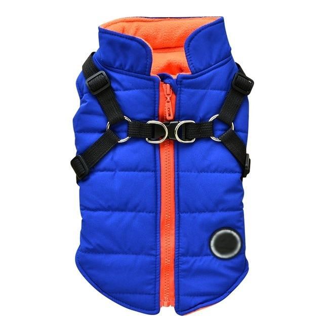 Blue dog zipper jacket with orange lining and black adjustable harness for pet comfort