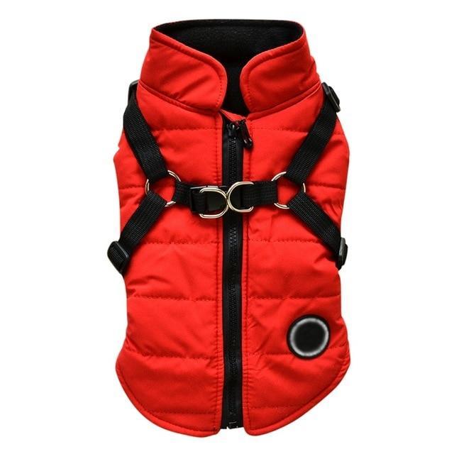 Red dog zipper jacket with black harness straps and front zipper closure for pet comfort