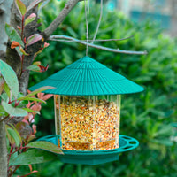 Transparent Bird Feeder with green roof filled with mixed bird seeds hanging on tree branch outdoors