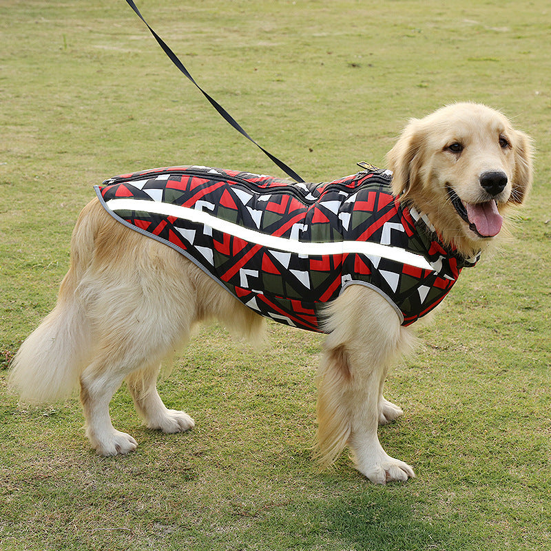 Golden retriever wearing a colorful mesh dog coat jacket with a geometric pattern on grass