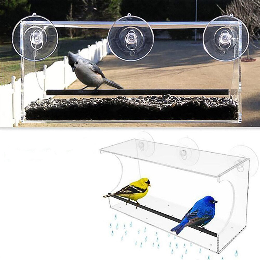 New Bird Pet Feeder transparent window-mounted bird feeder with seeds and small birds perched