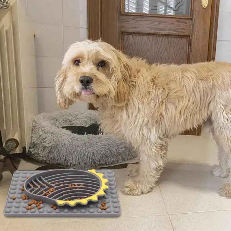Small beige dog near Furfamilyclub Slow Feeder Dog Bowls designed to slow down eating and improve animal comfort