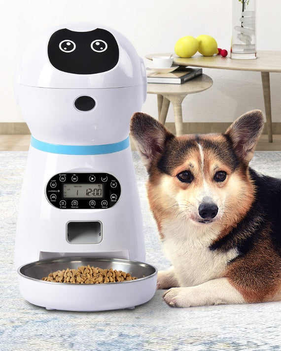 Smart Pet Food Dispenser with digital timer dispensing dry dog food next to a resting corgi