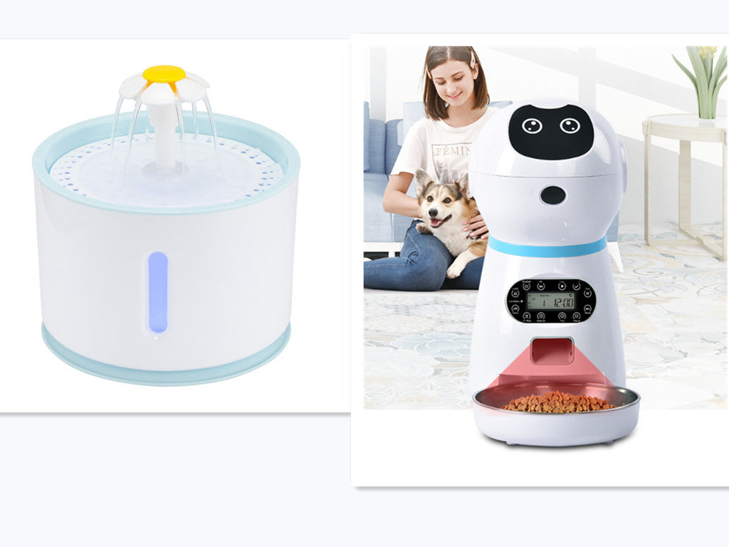 Smart Pet Food Dispenser with digital display beside automatic pet water fountain and woman with dog