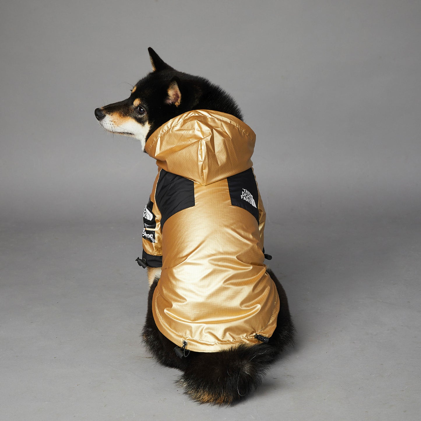 Black dog wearing a durable raincoat for large dogs in gold with a hood against a gray background