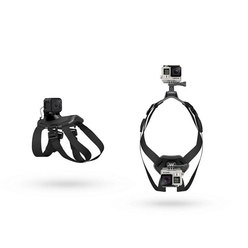 Pet Photography And Dog Sling