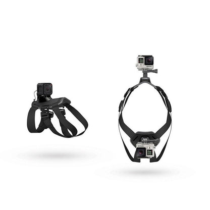 Pet Photography And Dog Sling
