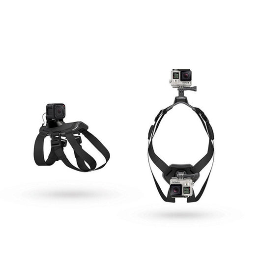 Pet Photography And Dog Sling