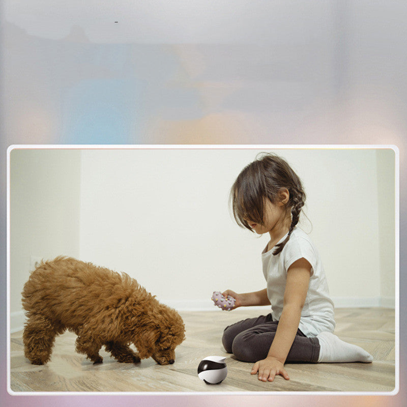 Pet Monitoring Mobile Camera