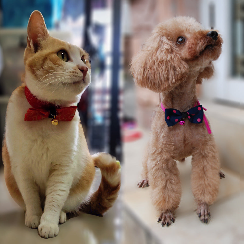 Two pets wearing stylish Christmas pet bow ties for festive celebrations and holiday photos