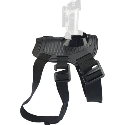 Pet Photography And Dog Sling