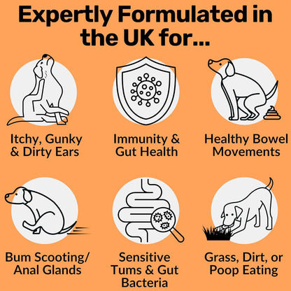 Dog Prebiotics Digestive Snacks