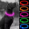 Dog wearing a purple LED collar with images of other colored collars displayed below.