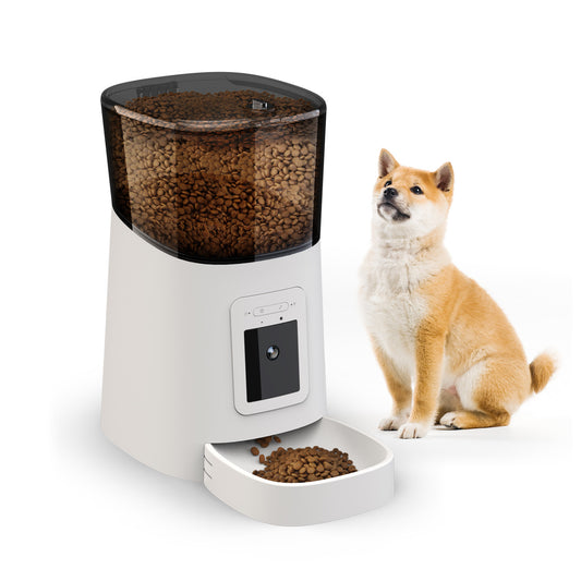 Automatic Pet Feeder With Camera dispensing dry dog food next to a sitting Shiba Inu dog