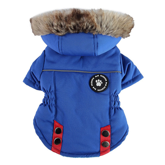 Winter Cotton Dog Zipper Jacket