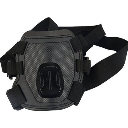 Pet Photography And Dog Sling