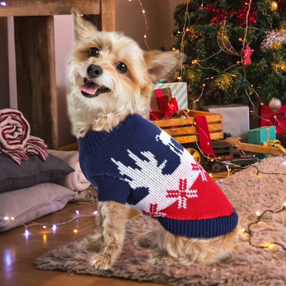 Dog wearing a festive sweater in front of a decorated Christmas tree.