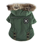 Green dog coat with fur hood on a white background
