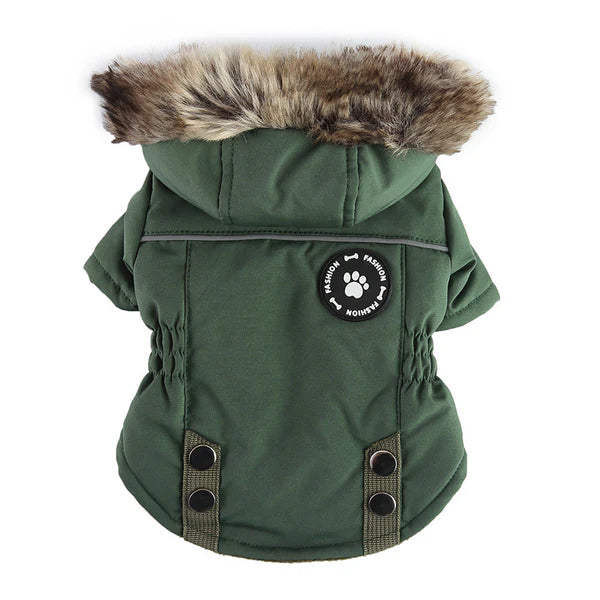 Green dog coat with fur hood on a white background